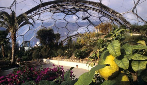 Eden Project bubble biomes