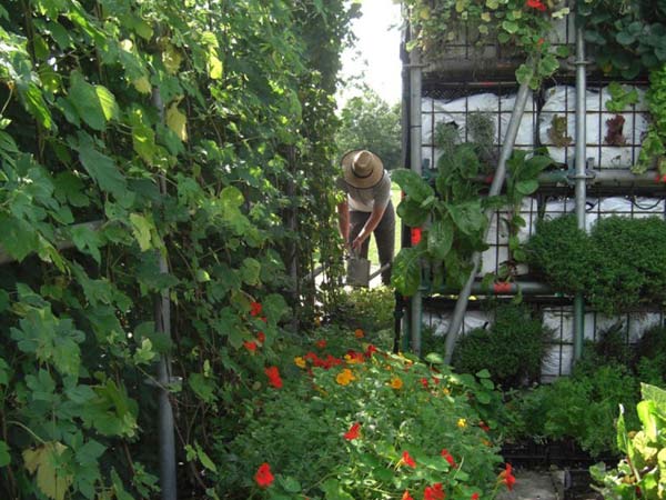 Съедобная концепция садовых домиков в Роттердаме — Eathouse.